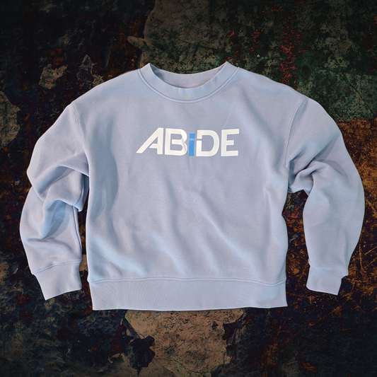 Light blue sweatshirt with 'ABIDE' logo arms out on a textured dark background
