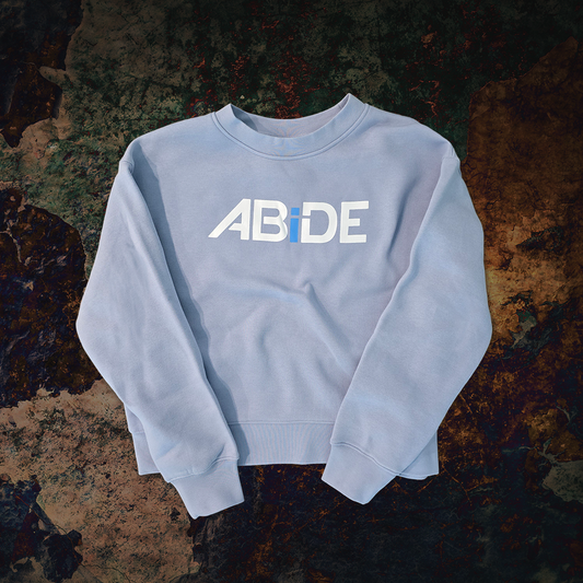 Light blue sweatshirt with 'ABIDE' text on a textured dark background