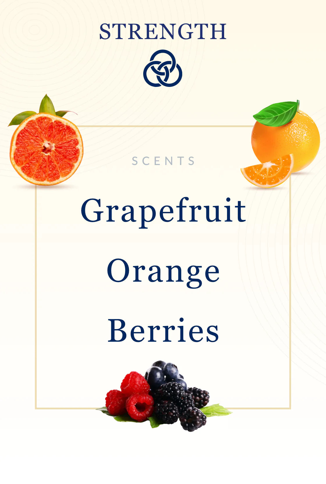 Strength Bible Candle - Grapefruit, Orange & Berry Scent with Hidden Verses